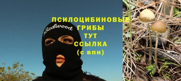 экстази Аркадак