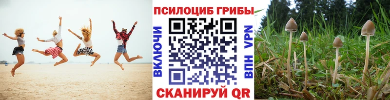 купить наркоту  KRAKEN вход  Галлюциногенные грибы ЛСД  Заозёрный 